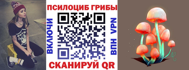 Галлюциногенные грибы мицелий  закладки  Старая Русса 